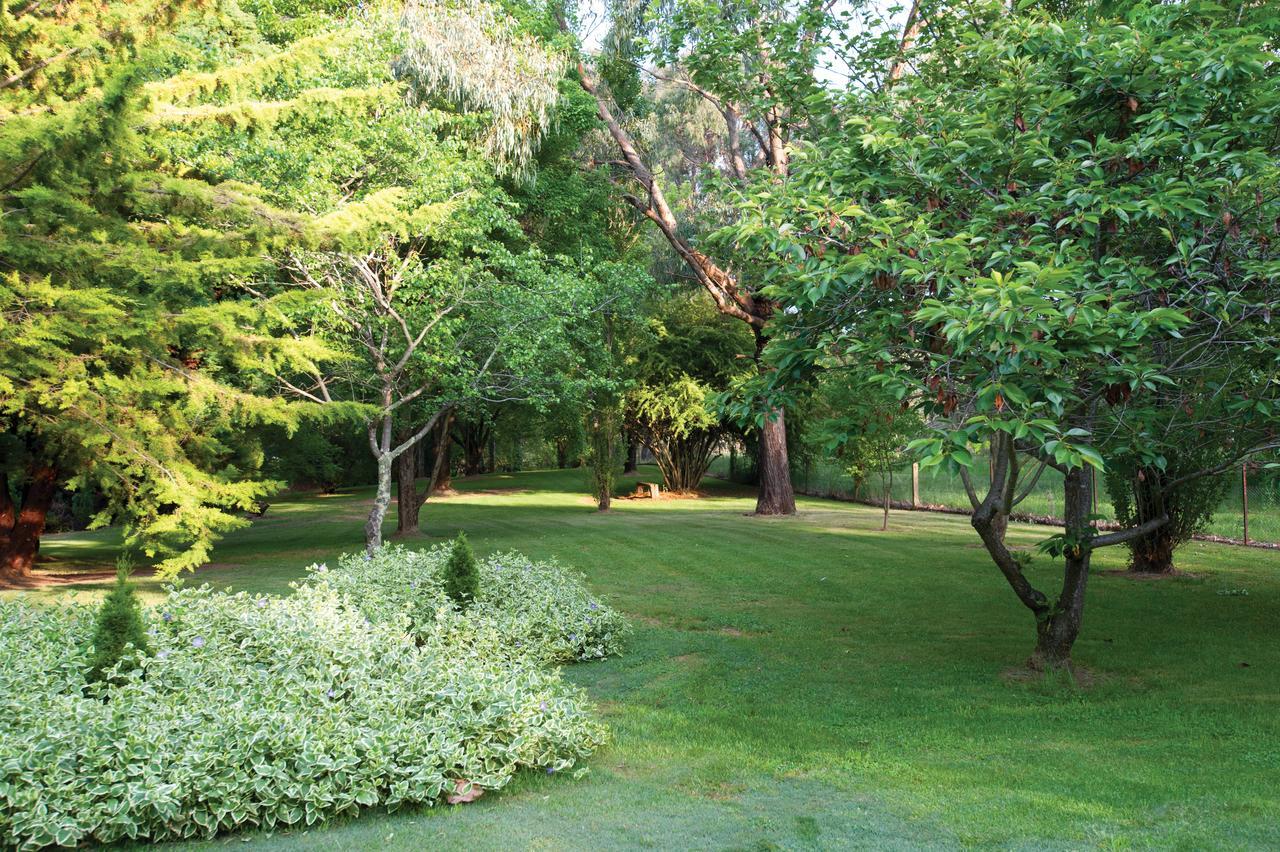 Clifton Gardens Bed & Breakfast - Orange Exterior foto
